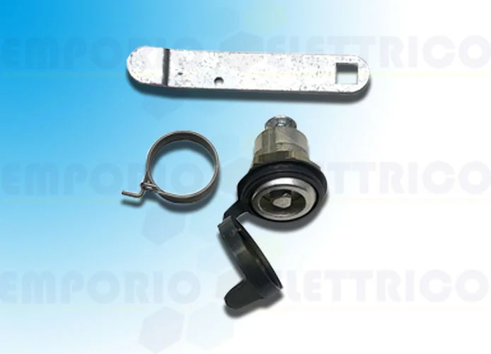 came repuesto cerradura trilobulada y tapón bxv 88001-0170