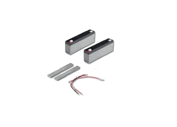 beninca kit baterías de 2,1 Ah con soporte y cable 908602344 bt2.bat