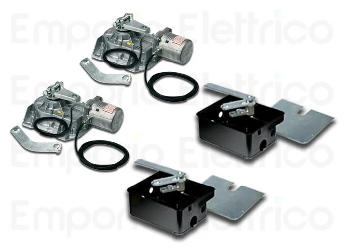came kit 230v motorreductor 2 x frog-ae cajas 2 x frog-cfn empae2fr2cfn
