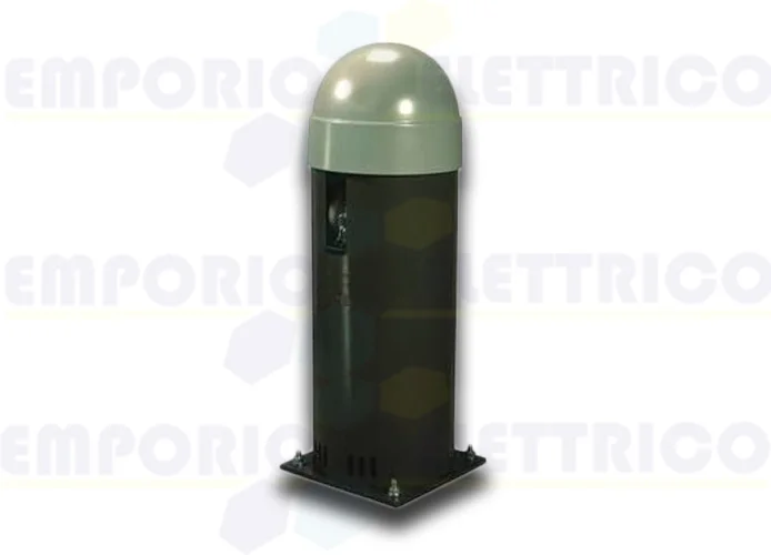 came pilar con motorreductor 230v 803bc-0010 (ex 001cat-x)